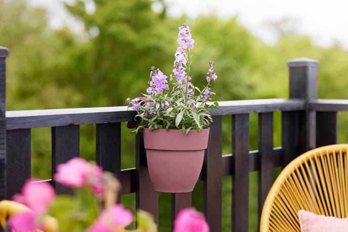 vibia campana easy hanger small puderrosa